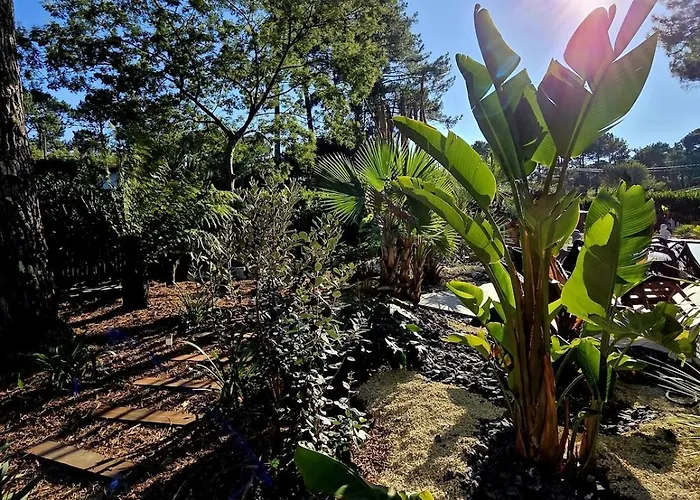 L'eden, Un Petit Paradis Pour Deux Lège-Cap-Ferret