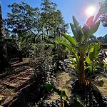L'eden, Un Petit Paradis Pour Deux Lège-Cap-Ferret