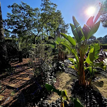 L'eden, Un Petit Paradis Pour Deux Lège-Cap-Ferret