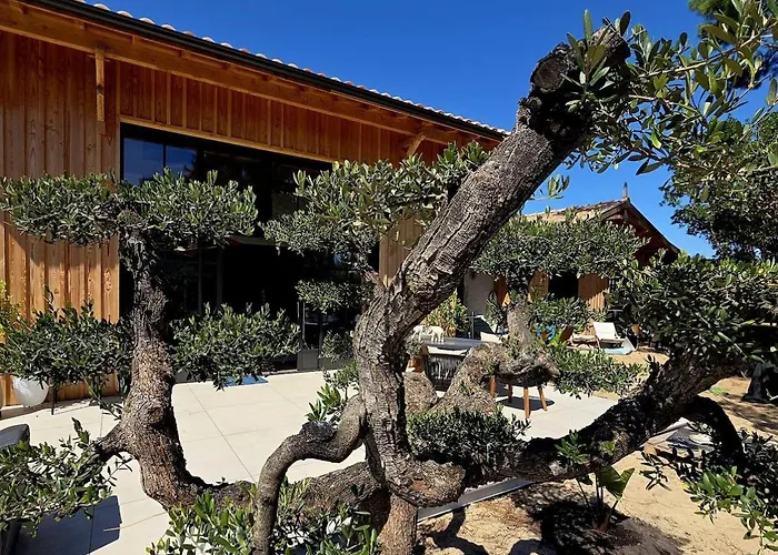 Feriehus L'eden, Un Petit Paradis Pour Deux Lège-Cap-Ferret